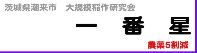 【３月キャンペーン】