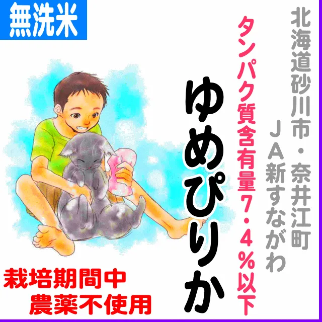 【無洗米2kg】北海道(ＪＡ新すながわ・奈井江)ゆめぴりか タンパク質含有量７.４％以下-栽培期間中不使用