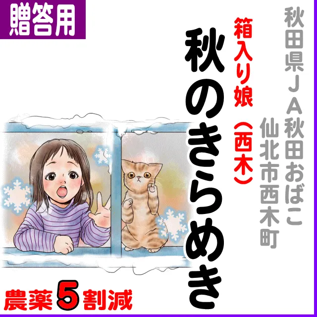 【ご贈答用5kg】秋田県(JA秋田おばこ)箱入り娘-秋のきらめき-5割減