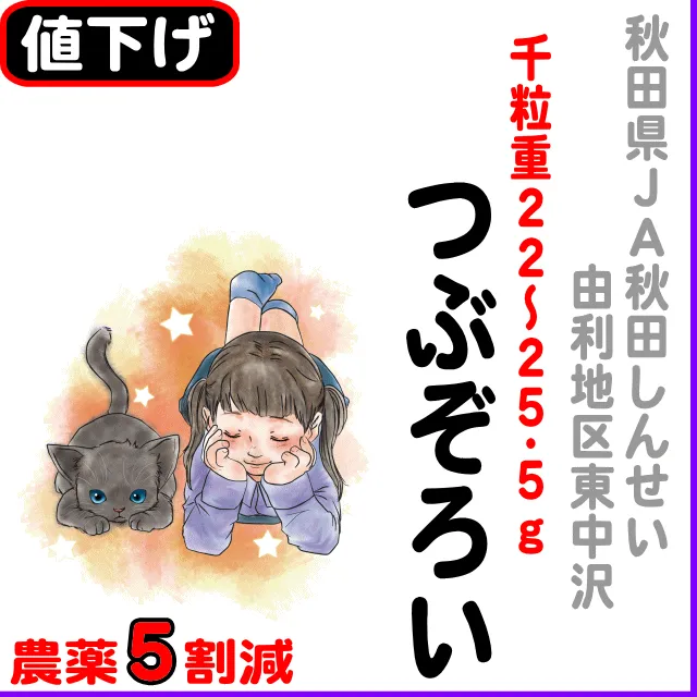 【10％以上値下げ】