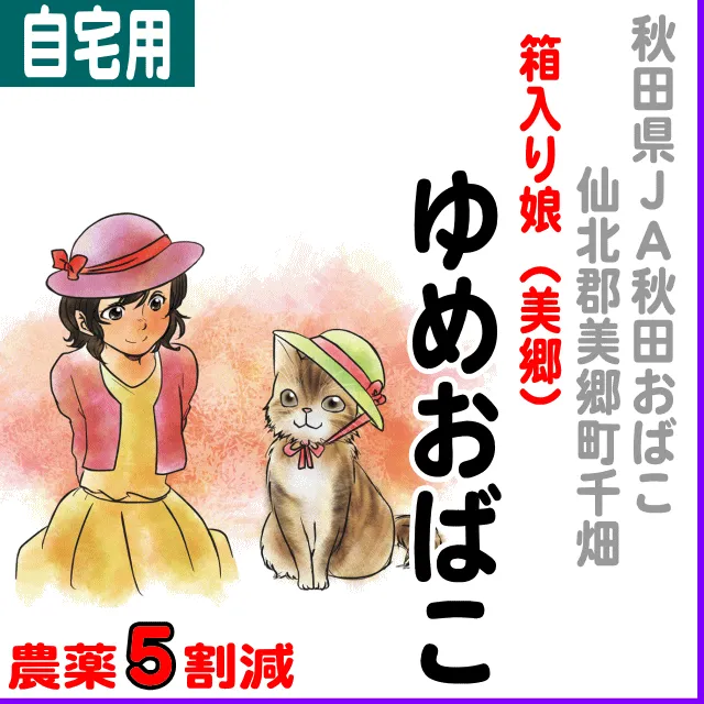 【ご自宅用5kg】秋田県 箱入り娘 ゆめおばこ-5kg-5割減