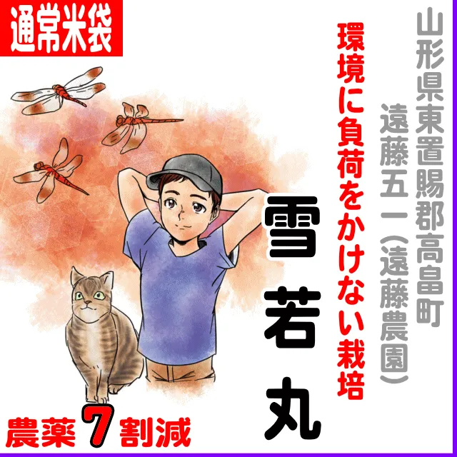 【通常米袋】山形県高畠町(遠藤五一：遠藤農園)雪若丸-農薬７割減