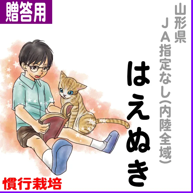【ご贈答用5kg】山形県(JA指定なし)はえぬき-慣行栽培