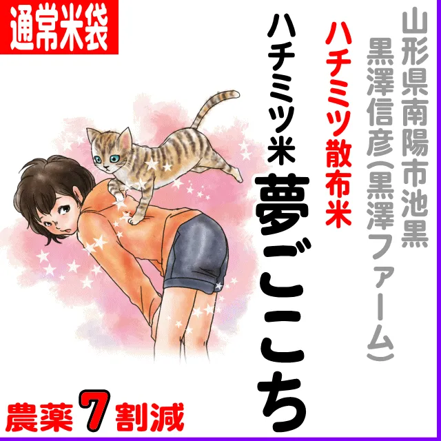 【通常米袋】山形県南陽市(黒澤信彦：黒澤ファーム)ハチミツ米夢ごごち-農薬７割減