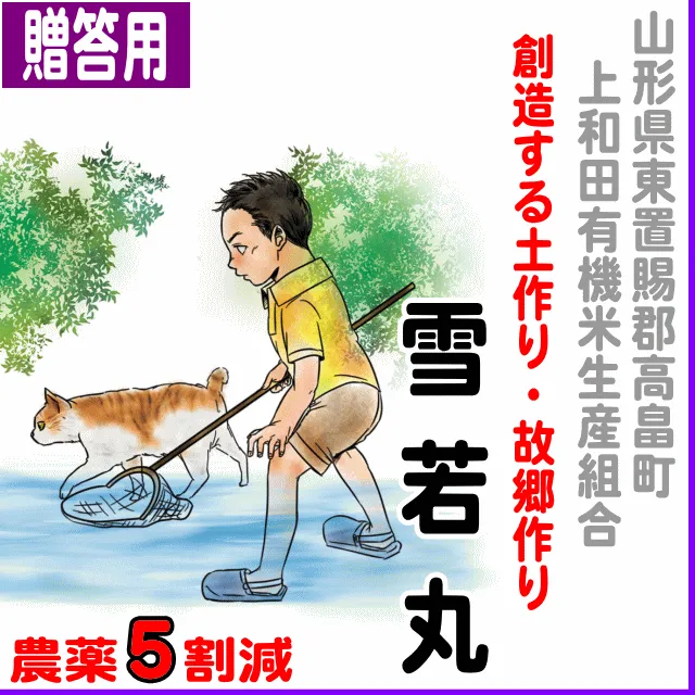 【ご贈答用5kg】山形県(上和田)雪若丸-農薬5割減