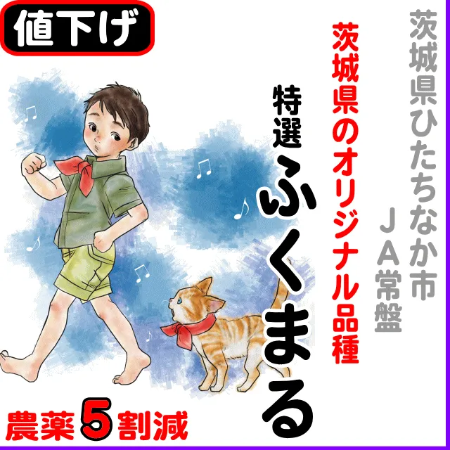 【10％以上値下げ】