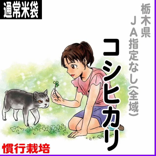 【通常米袋】栃木県(JA指定なし)コシヒカリ-慣行栽培