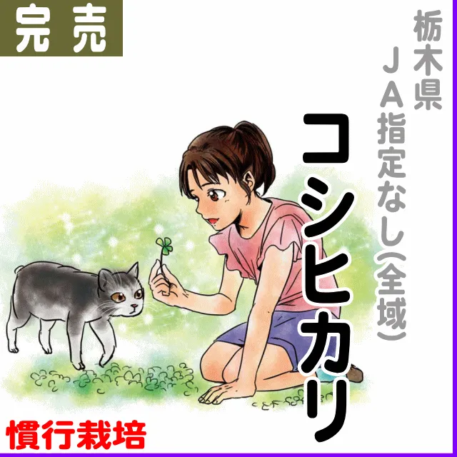 【通常米袋】栃木県(JA指定なし)コシヒカリ-慣行栽培