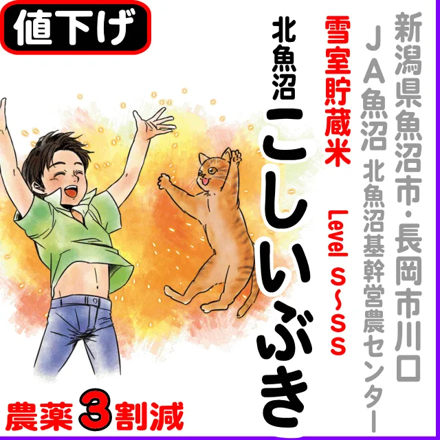 【10％以上値下げ】