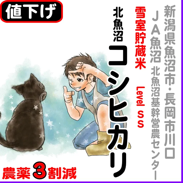 【10％以上値下げ】