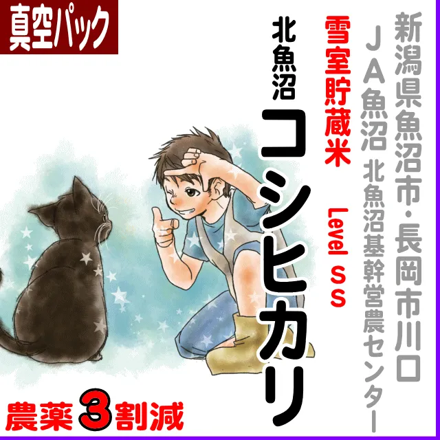 【真空パック】新潟県(ＪＡ魚沼)雪室貯蔵米 北魚沼コシヒカリ-levelSS-農薬３割減