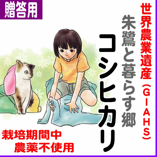 【ご贈答用5kg】新潟県(ＪＡ佐渡)世界農業遺産（ＧＩＡＨＳ）朱鷺の郷コシヒカリ-栽培期間中不使用