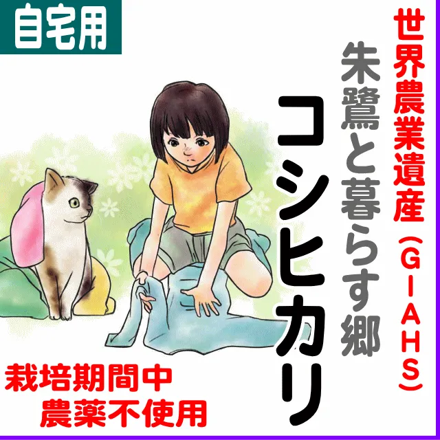 【ご自宅用5kg】新潟県(ＪＡ佐渡)世界農業遺産（ＧＩＡＨＳ）朱鷺の郷コシヒカリ-栽培期間中不使用