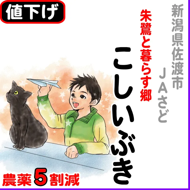 【10％以上値下げ】