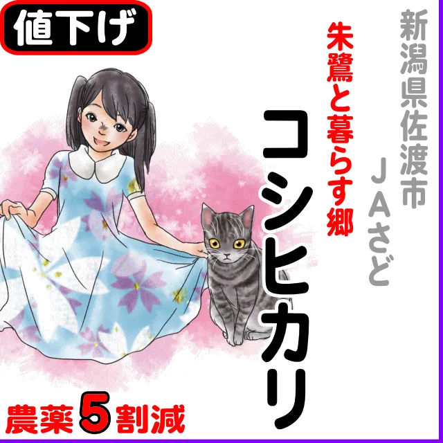 【10％以上値下げ】