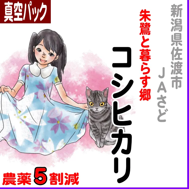 【真空パック】新潟県(ＪＡ佐渡)朱鷺と暮らす郷コシヒカリ-農薬5割減