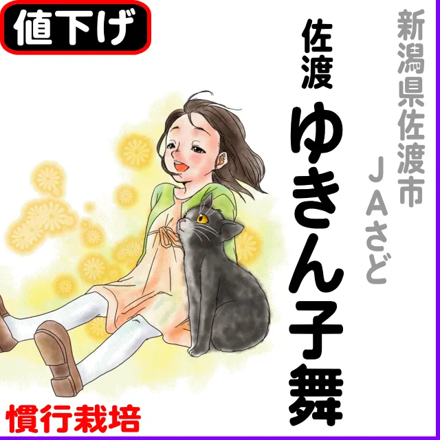 【10％以上値下げ】