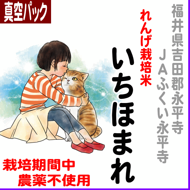 【真空パック】福井県(ＪＡふくい)永平寺れんげ栽培米いちほまれ-栽培期間中不使用