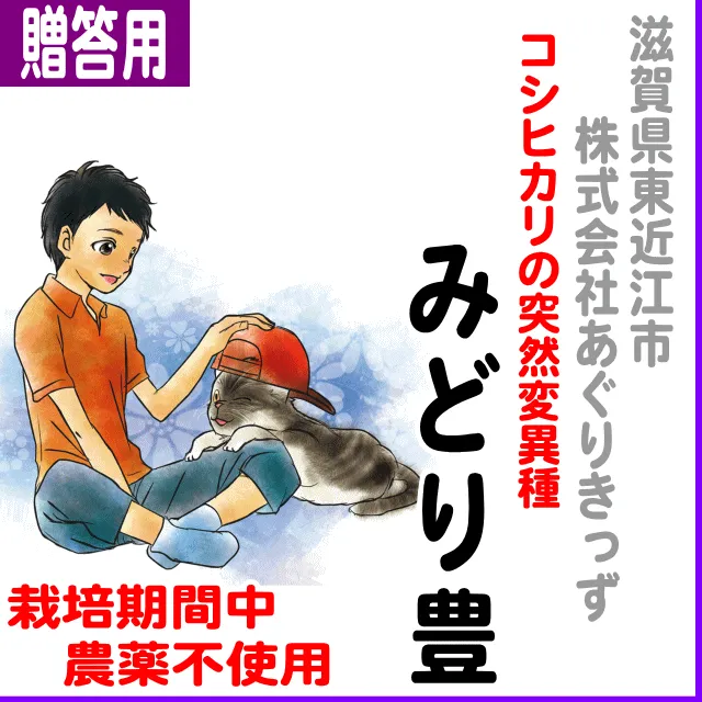【ご贈答用5kg】滋賀県(東近江市)みどり豊-栽培期間中不使用