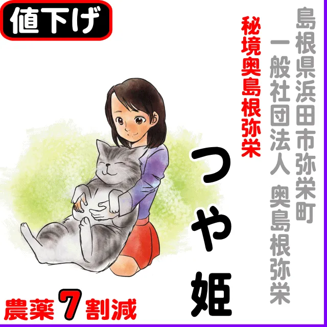 【10％以上値下げ】