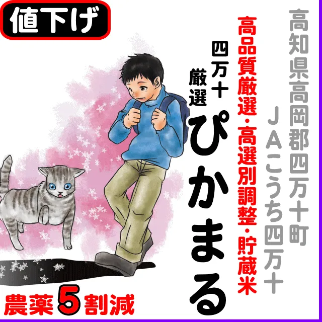 【10％以上値下げ】