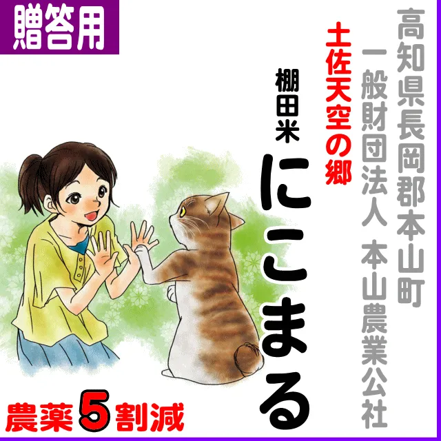 【ご贈答用5kg】高知県(本山町)土佐天空の郷にこまる-農薬5割減