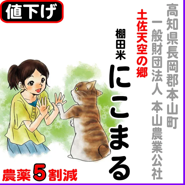 【10％以上値下げ】