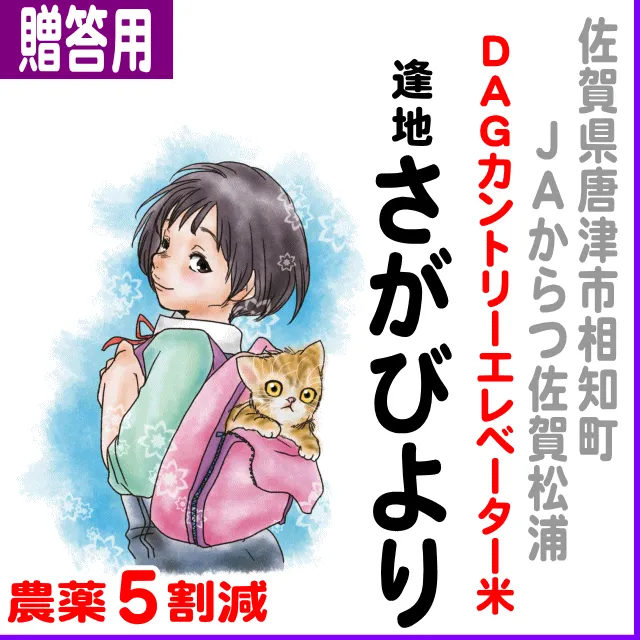 逢地(あうち)さがびより 【ご贈答用5kg】佐賀県(JA唐津)逢地さがびより-5kg-農薬5割減