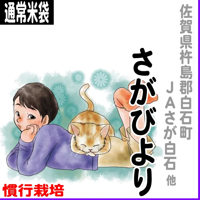 【通常米袋】佐賀県(ＪＡさが)さがびより-慣行栽培