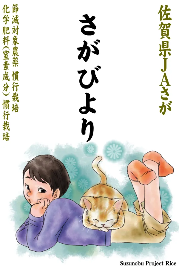 ご贈答用5kg】佐賀県(ＪＡさが)さがびより-慣行栽培